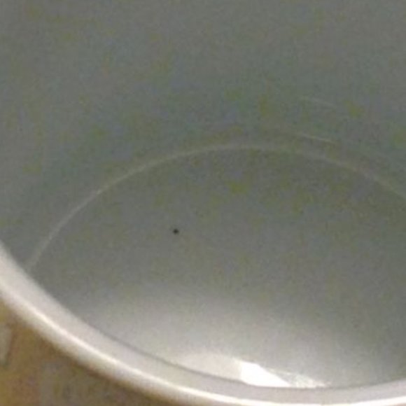 Vintage Precious Moments Christian Coffee Cup - Picture 7 of 7